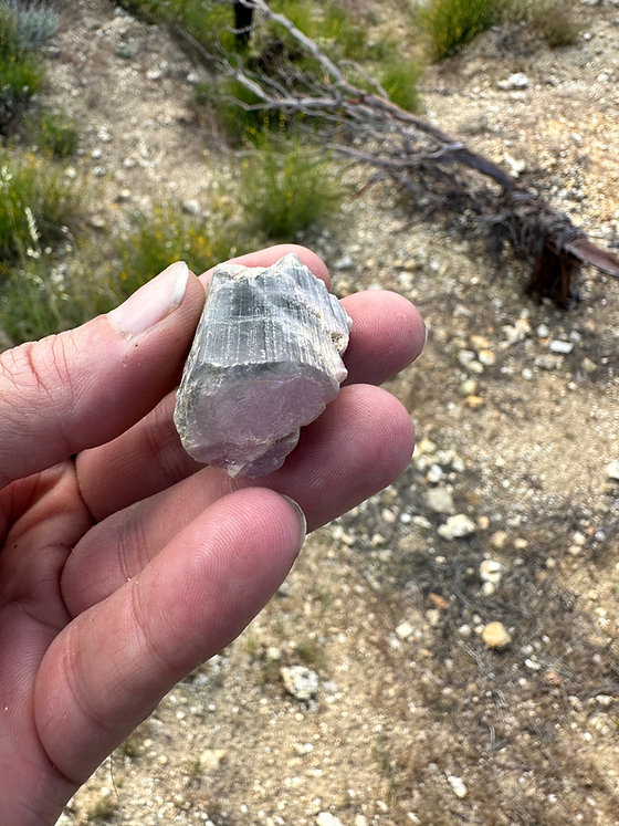 California Rockhounding - 6 Places to Dig for Gemstones in California -  Geology In