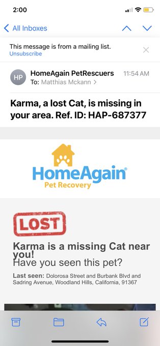 Karma is lost cat, in your neighborhood&hellip;..lol https://t.co/SDUlopmxjR