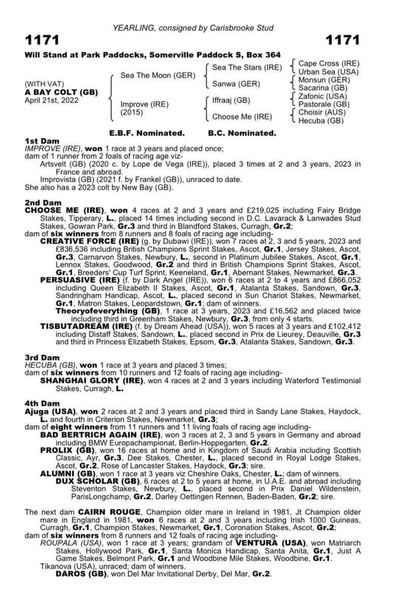 Don’t miss Lot 1171 @Tattersalls1766 Book 2 - this cracking colt is a son of @Lanwades Sea The Moon ex Improve (Iffraaj) a sister to Persuasive, Creative Force & Tis But A Dream out of stakes winner Choose Me.