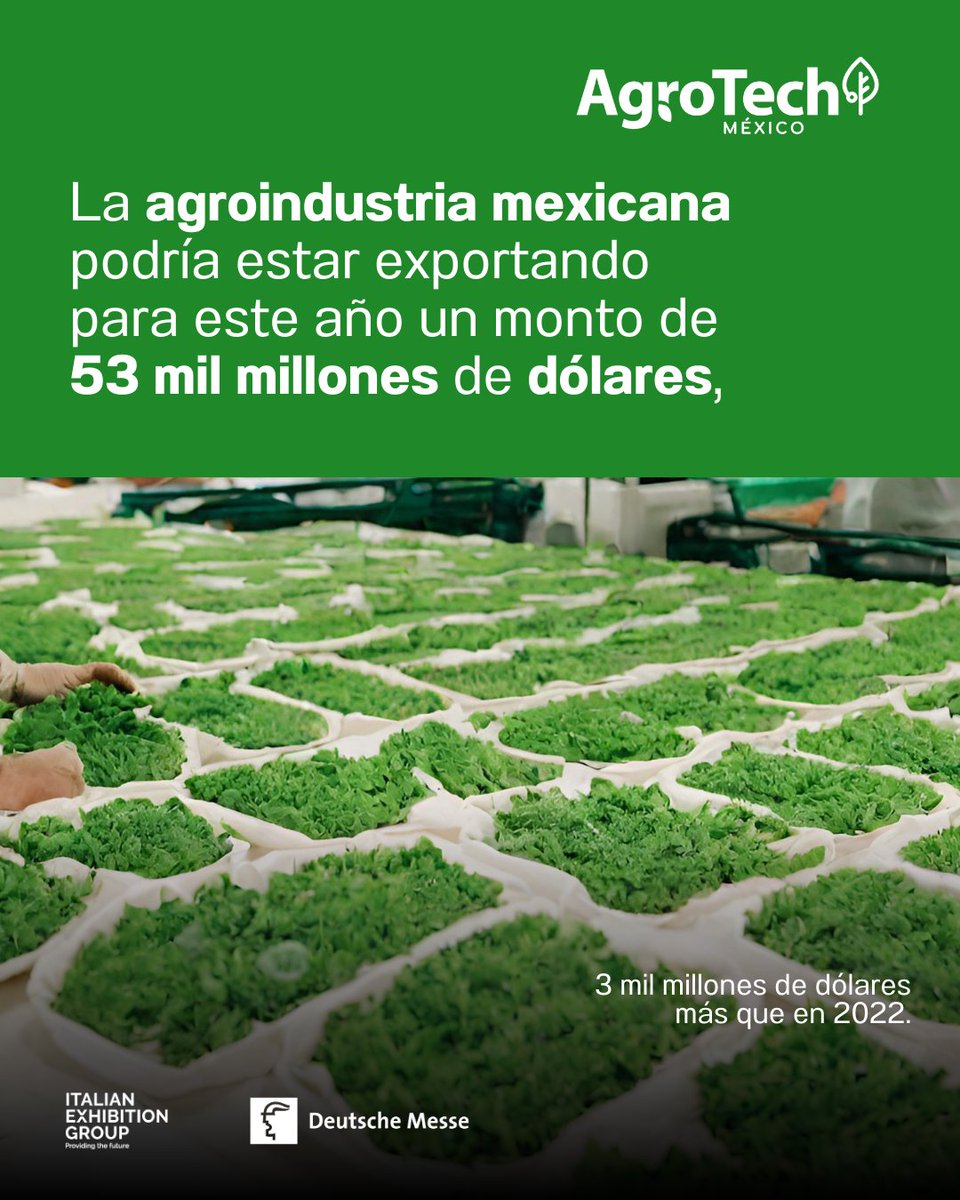 AgroTech_mx's tweet photo. 🗣️ De acuerdo con la Secretaría de Desarrollo Económico de la Ciudad de México y la CANACINTRA, la agroindustria de México podría alcanzar una cifra de exportación de 53 mil millones de dólares para este año, representando un aumento de 3 mil millones de dólares.

#Agrotech https://t.co/VH6xTq5IWP