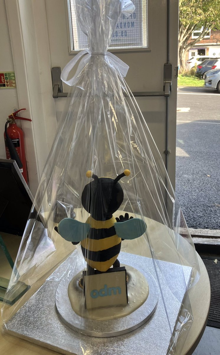 Bertie Bee tweet media