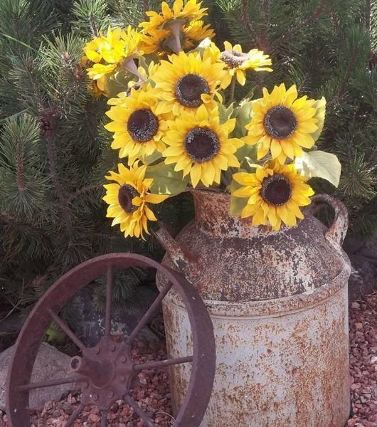 #PostalesDeCampo📸