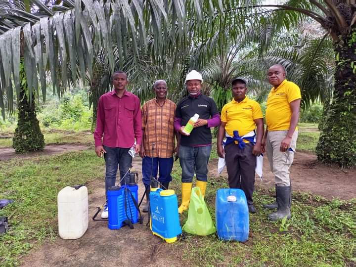 Solidaridad_wa's tweet image. To promote #sustainable land use practices in communities, @Solidaridad_wa has built the capacity of 45 smallholder #oilpalm farmers on the safe use of bio-friendly herbicides, under #NISCOPS funded by @NLNetherlands and @Henkel.