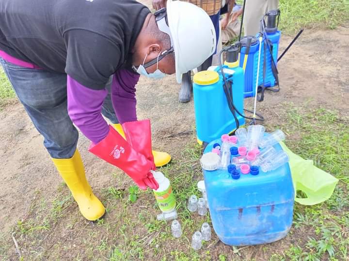 Solidaridad_wa's tweet image. To promote #sustainable land use practices in communities, @Solidaridad_wa has built the capacity of 45 smallholder #oilpalm farmers on the safe use of bio-friendly herbicides, under #NISCOPS funded by @NLNetherlands and @Henkel.