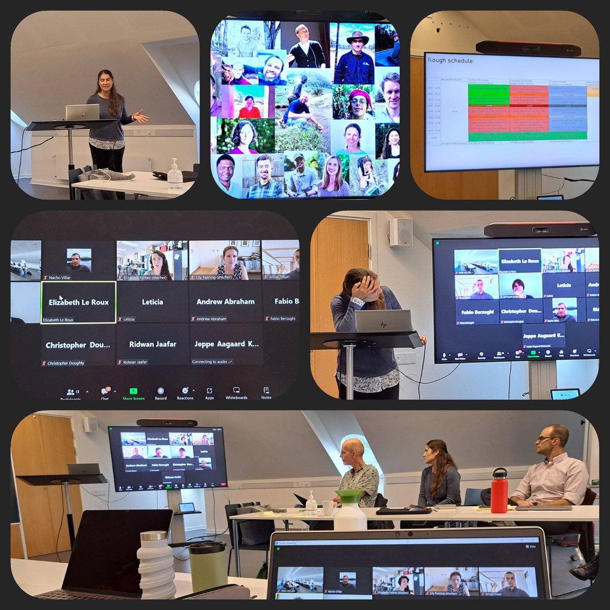 🤓There's few things more rewarding 4 a scientist than joining other passionate souls in an intelectual trip. This week we are shaping the future of Zoogeochemistry <a href="/AarhusUni/">Aarhus Universitet</a>  Science as a creative process is just fantastic. Thanks <a href="/FWOVlaanderen/">FWO</a> <a href="/AIAS_dk/">Aarhus Institute of Advanced Studies</a> for funding