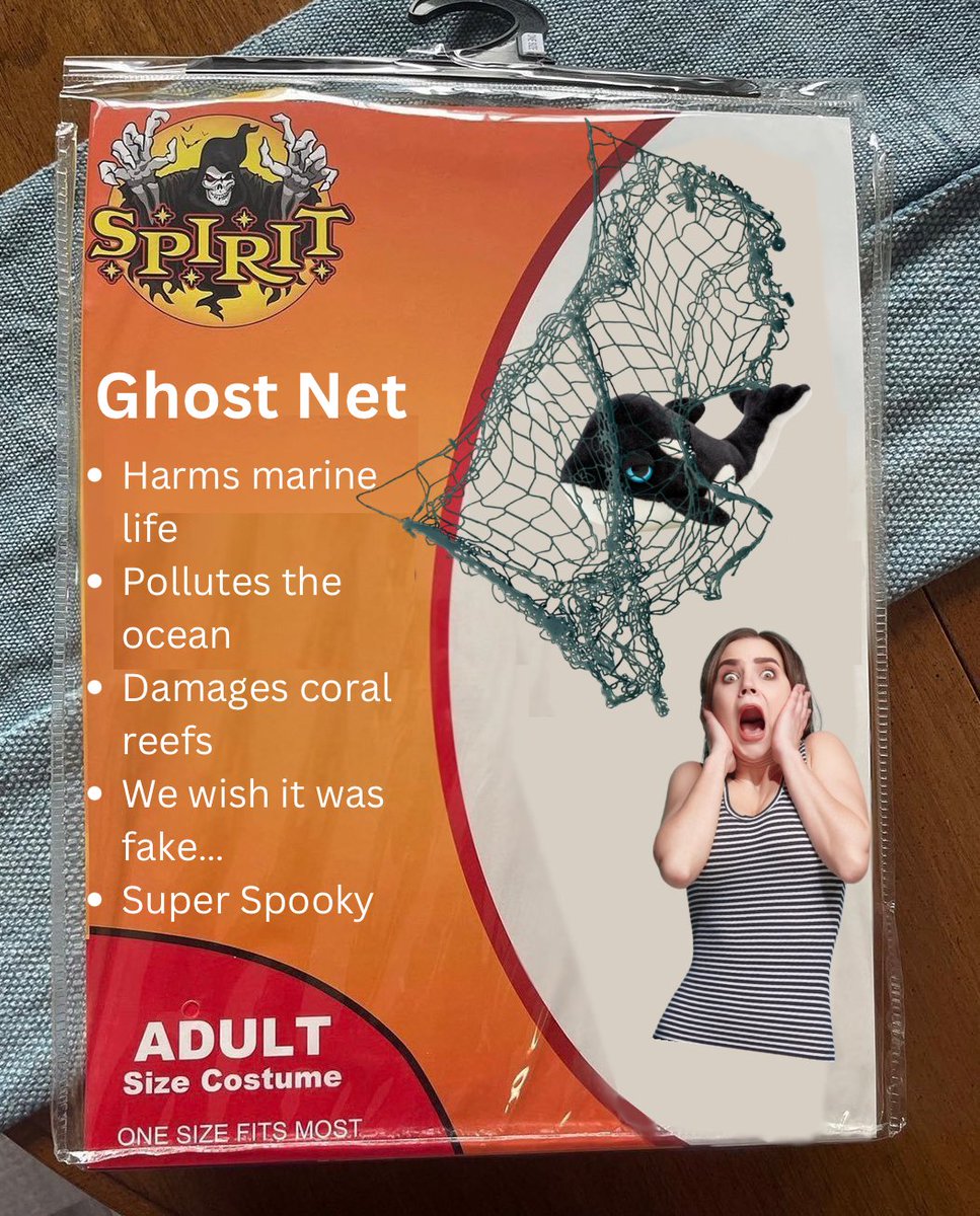 What's scarier than ghost nets this spooky season? 👻 👀 

#4ocean #ghostnet #halloween #spirithalloween #halloweencostume #meme