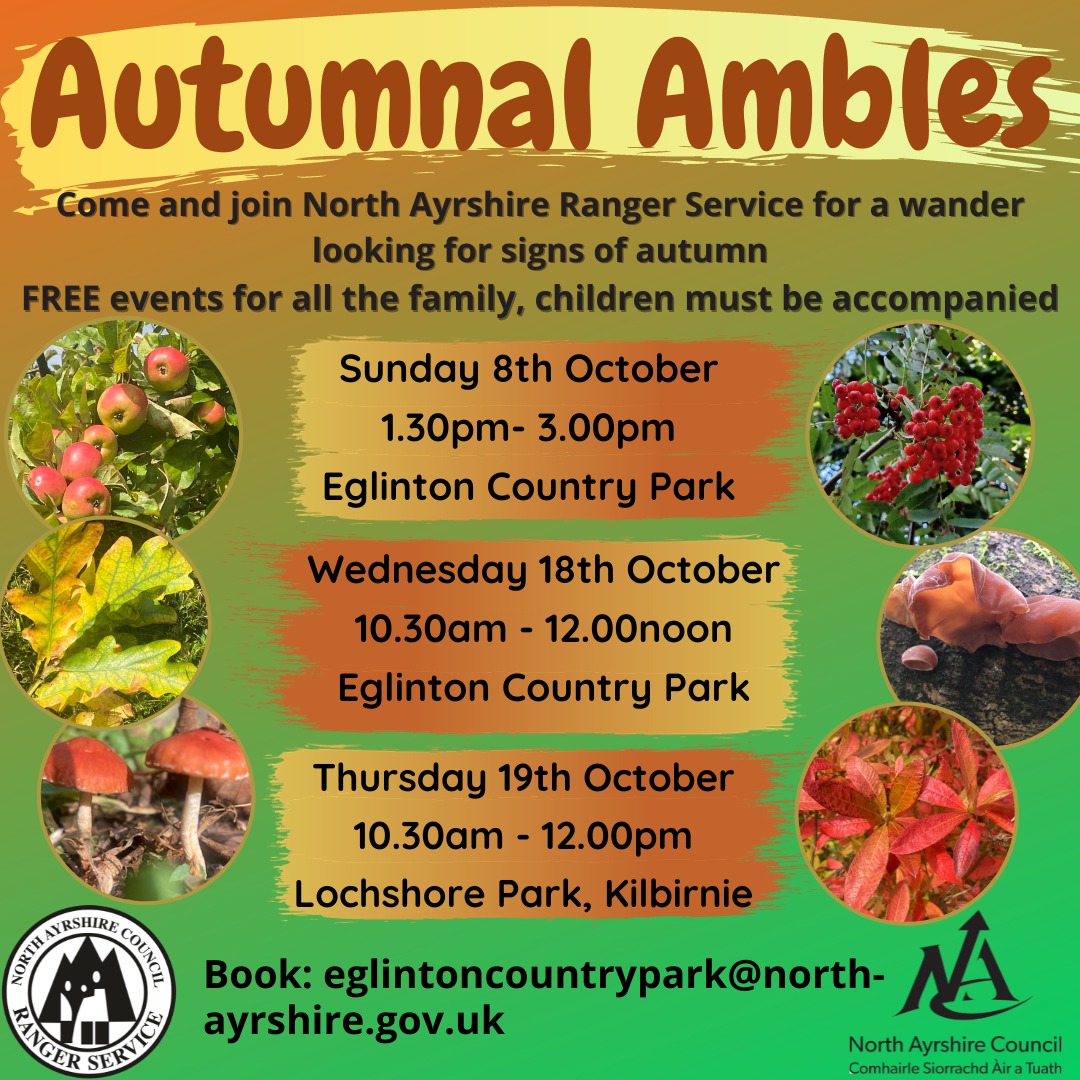 We had a fantastic autumn wander on Sunday, finding all manner of seasonal treasures. 🍁🍂🍄🐌 Thanks to all who came along! Two more walks in the school holidays if you want to join us - see poster for details! 👇 #getoutside #ConnectWithNature @audreynolan @les622