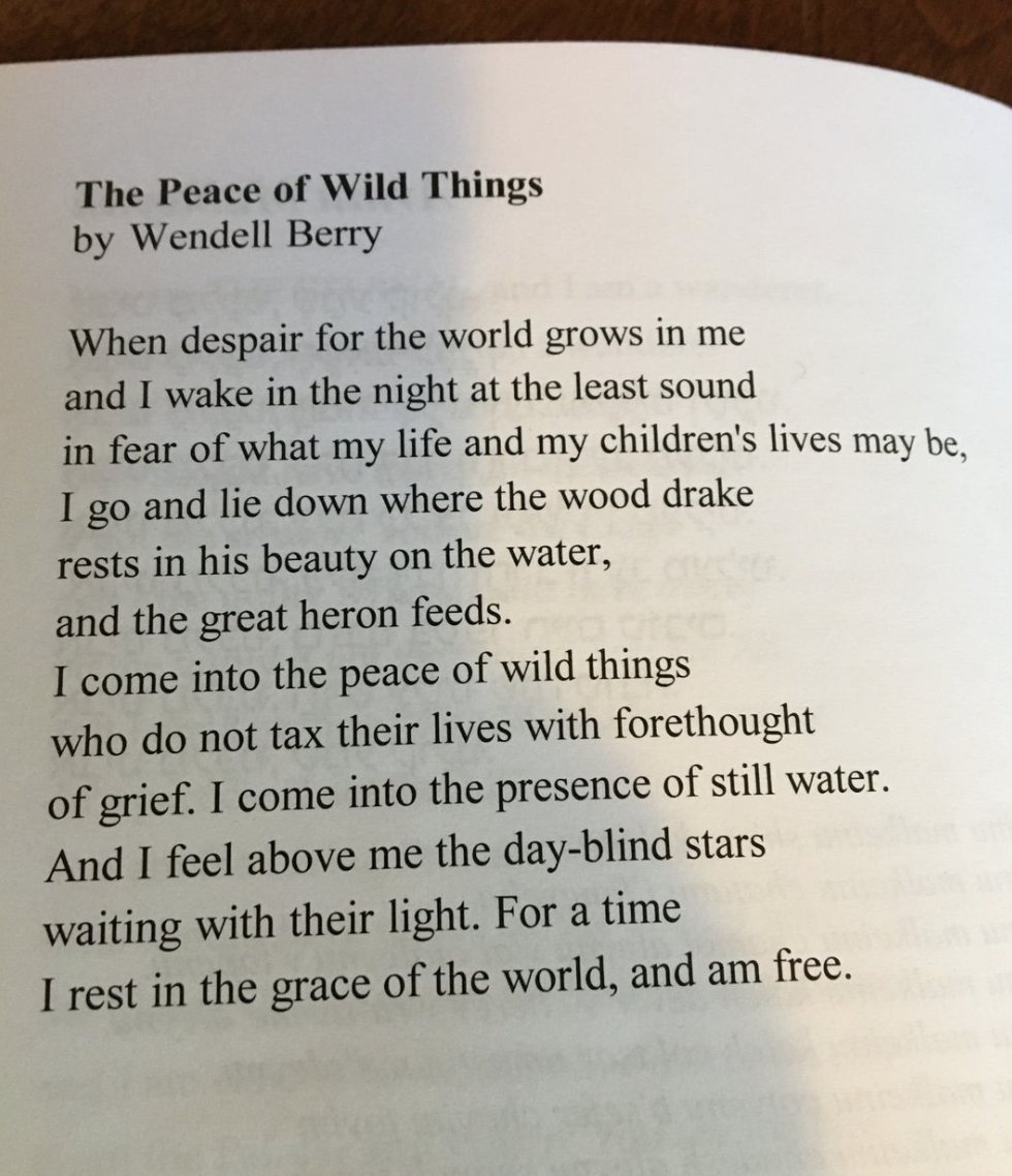 I've probably read this poem 100 times, but when the world seems particularly gone to hell, it still brings me to tears.