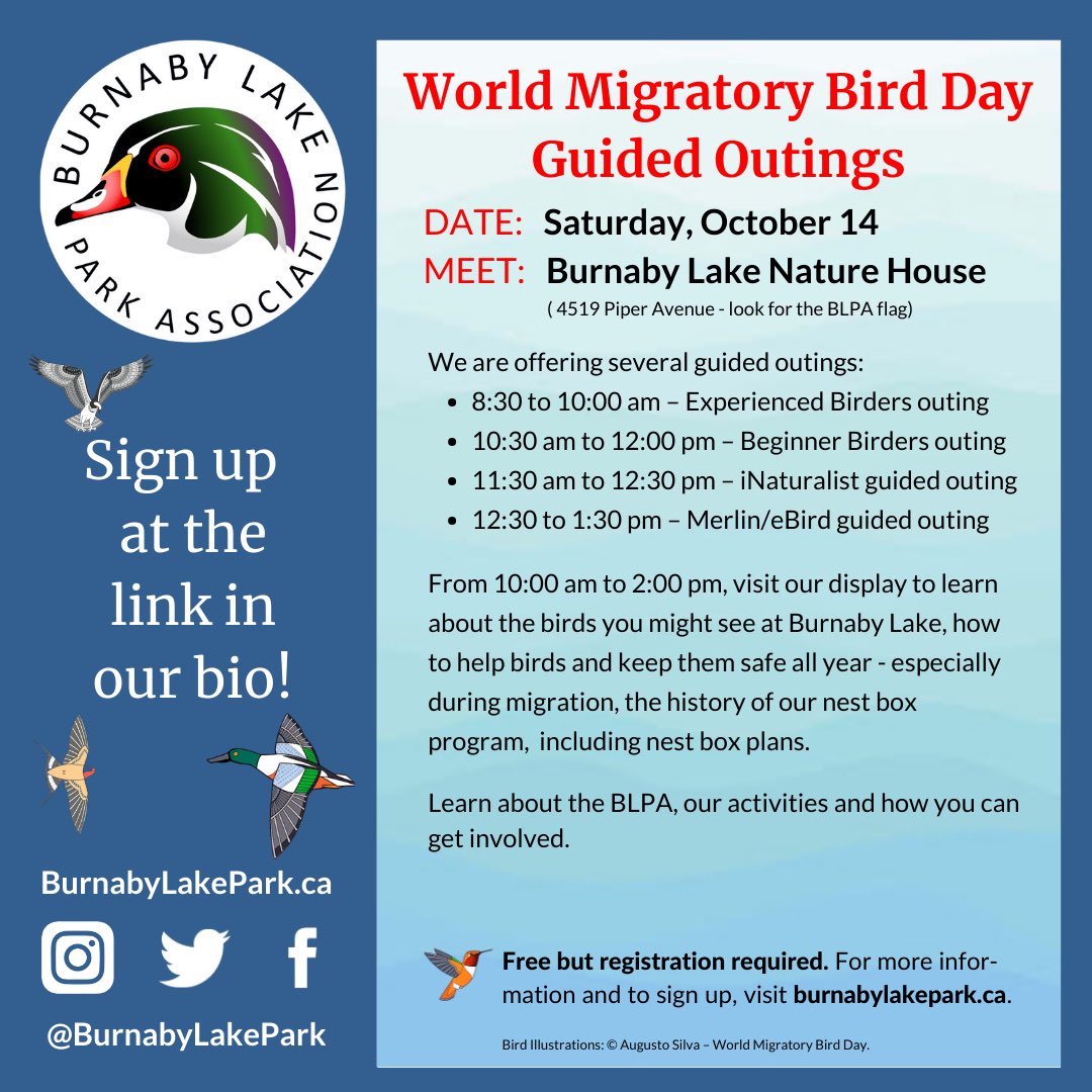 A Thanksgiving weekend treat! A Rusty Blackbird made an appearance at Piper Spit this past weekend. Join us this Saturday for #WorldMigratoryBirdDay on Saturday, October 14 with a variety of guided outings and bird information. Link in our bio for more info. #WMBD #WMBD2023
