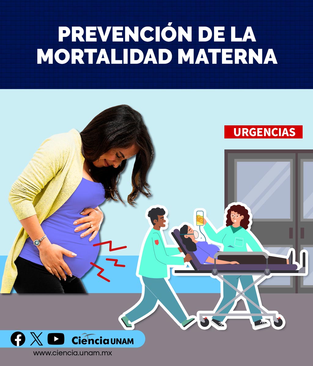 Ciencia_UNAM's tweet photo. #Salud | En el Día Mundial de Concienciación sobre la #MuerteGestacional, Perinatal y Neonatal te contamos sobre la vigilancia prenatal, útil en la prevención de la #MortalidadMaterna
https://t.co/pzqs1vimxs https://t.co/XYzPcxV6rL
