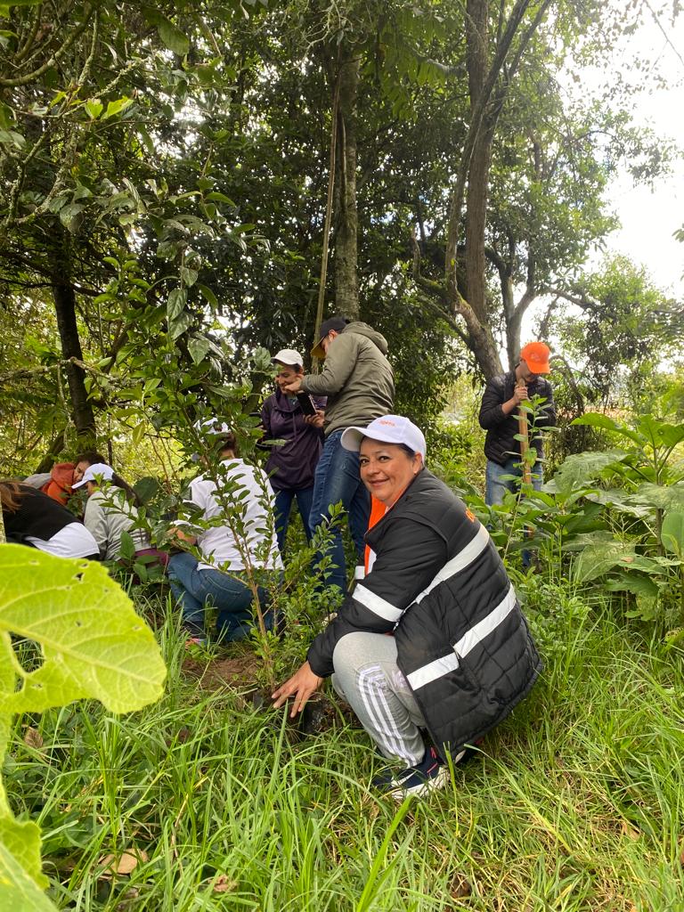 ¡Celebramos el excepcional compromiso de @zoetiscolombia con la naturaleza! 🌱🌳 Sembrando 25 árboles en Suesca, Cundinamarca, demuestran su pasión por un mundo más verde y sostenible. ¡Un ejemplo a seguir por un futuro mejor! 🌎🌿 #siembras  #RestauraciónEcológica