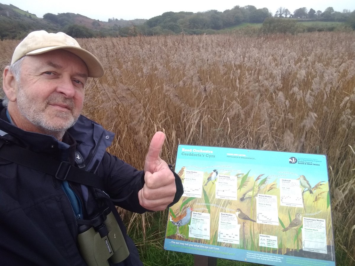 TimBirchWild's tweet photo. Well done Wildlife Trusts SW and W Wales @WTSWW for reinstating signs on fantastic Goodwick Moor wetlands after local vandals ripped them off. It's an amazing place and so important for both wildlife and people. It needs to be respected and not trashed. @WTWales @PaulDaviesPembs https://t.co/R57skaKMy2