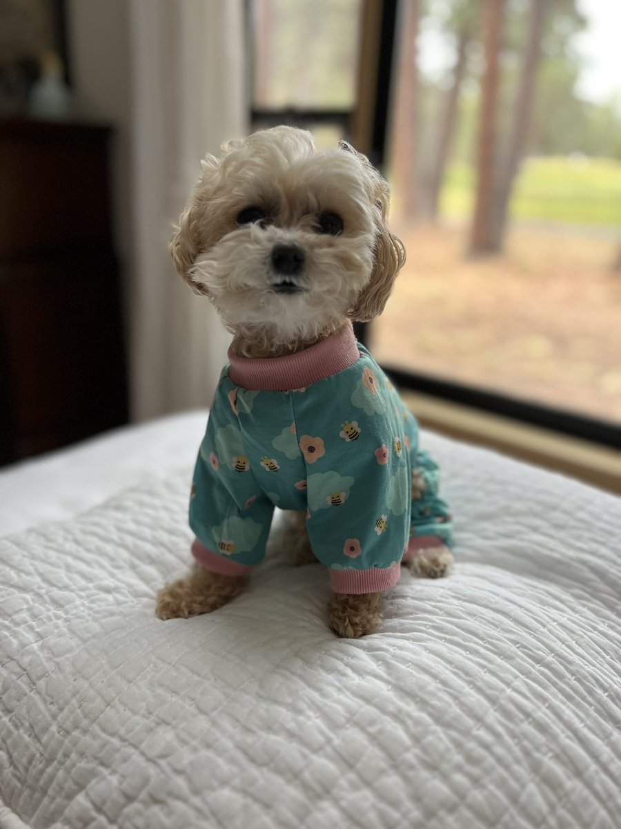 blessedgrammy's tweet image. I need to get a few items @Walmart #WalmartContest any I can pick up for you while I’m shopping for a new pair of Jammie’s?