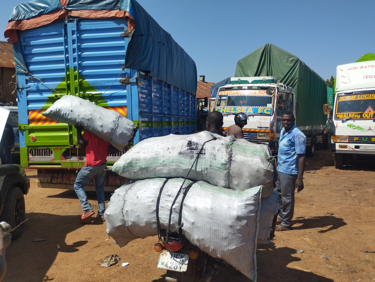 <a href="/NFAUG/">National Forestry Authority-Uganda</a> Only one thing  has changed in relation to the charcoal ban in Acholi the trucks have changed  into "box bodies"
<a href="/PoliceUg/">Uganda Police Force</a> and <a href="/MODVA_UPDF/">Uganda Peoples' Defence Forces</a>  now picks bribes officially along gulu- kampala highway in total disregard of the <a href="/KagutaMuseveni/">Yoweri K Museveni</a> Directive.
@Ribbe2023 is watching