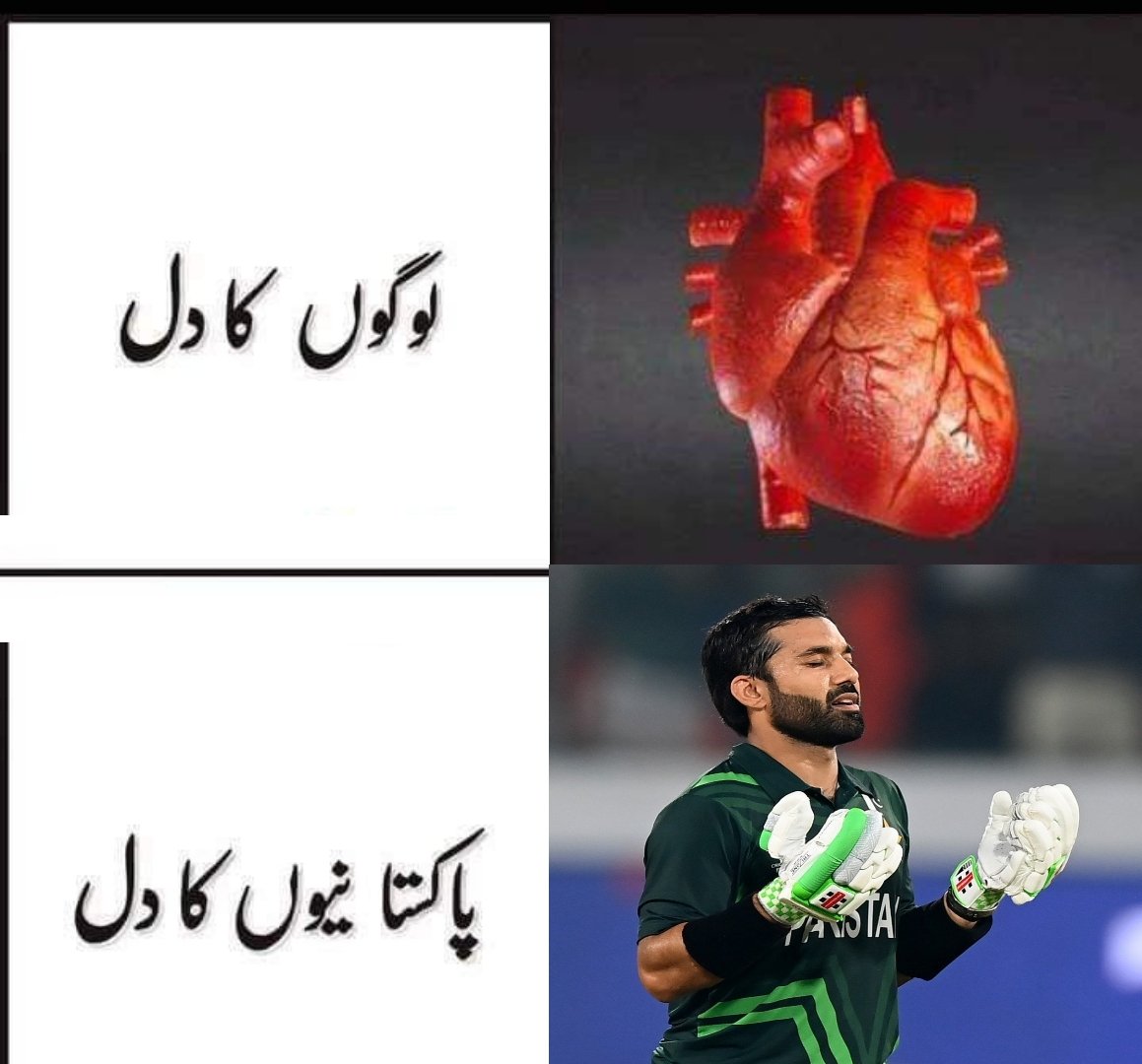 Pakistanio ka Dil ❤️ Rizwan 🇵🇰
#PAKvSL #SLvsPAK #SLvPAK #BabarAzam #rizwan