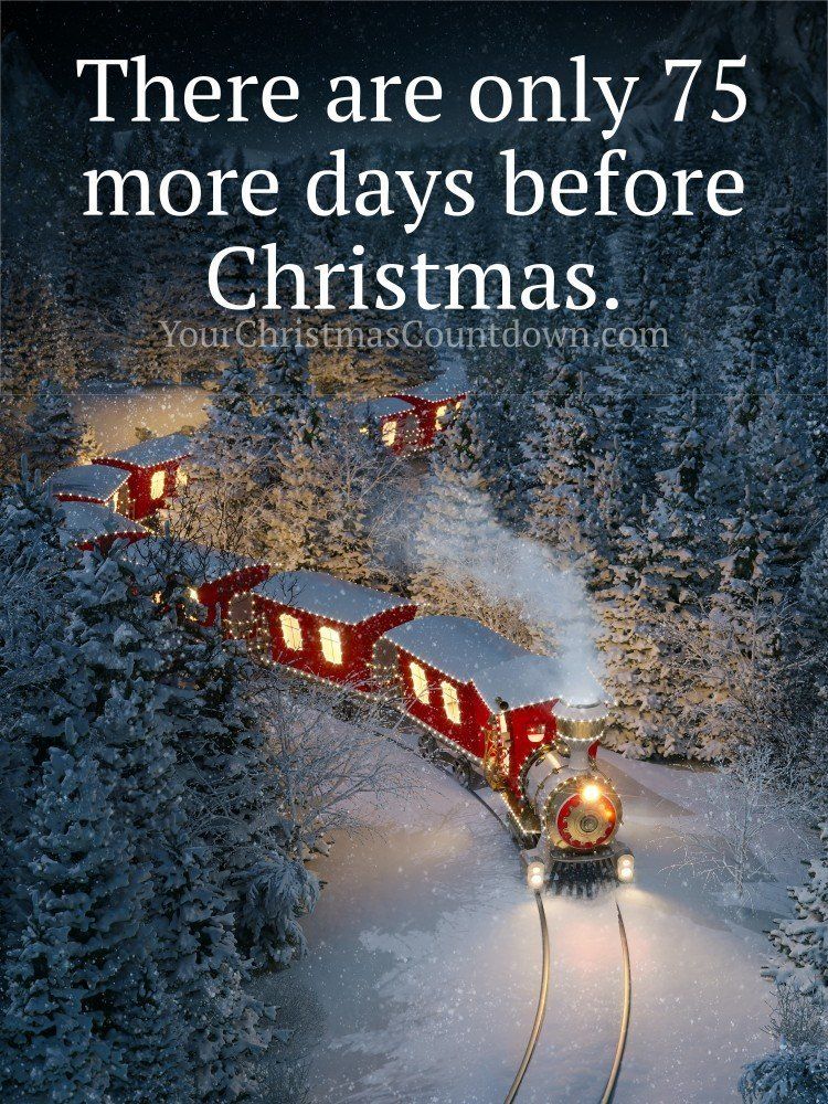 75 MORE DAYS BEFORE  #CHRISTMAS!
👉 YourChristmasCountdown.com 🎄🎅