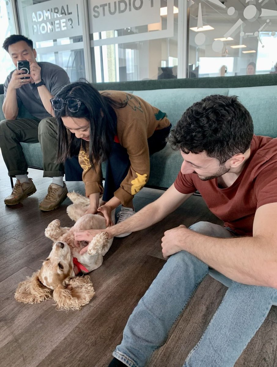 🐶 To mark #WorldMentalHealthDay , we had two very special visitors,  Honey and Jet, hard-working members of Cariad Pet Therapy, to give us an opportunity to decompress and check in with our mental health. They certainly made us smile, as you can see below!