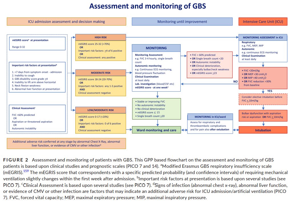 Daniel Pérez (@danielperran) on Twitter photo European Academy of Neurology/Peripheral Nerve Society Guideline on diagnosis and treatment of Guillain–Barré syndrome via <a href="/EANeurology/">European Academy of Neurology</a>
onlinelibrary.wiley.com/doi/full/10.11… European Academy of Neurology/Peripheral Nerve Society Guideline on diagnosis and treatment of Guillain–Barré syndrome via <a href="/EANeurology/">European Academy of Neurology</a>
onlinelibrary.wiley.com/doi/full/10.11…