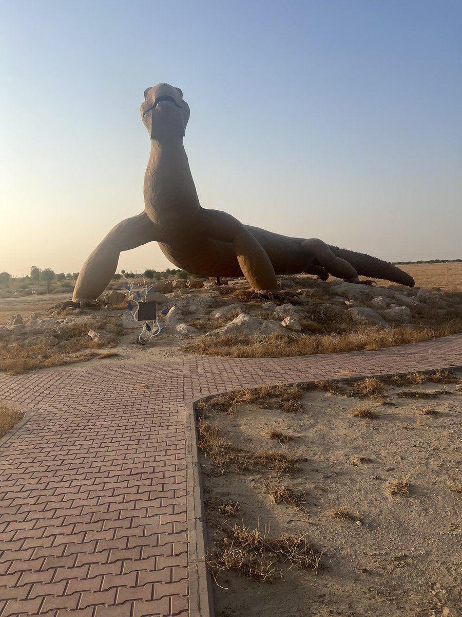 kuwait_m511's tweet photo. مساء الخير - من يشتري الضب https://t.co/kPB0bA81a2