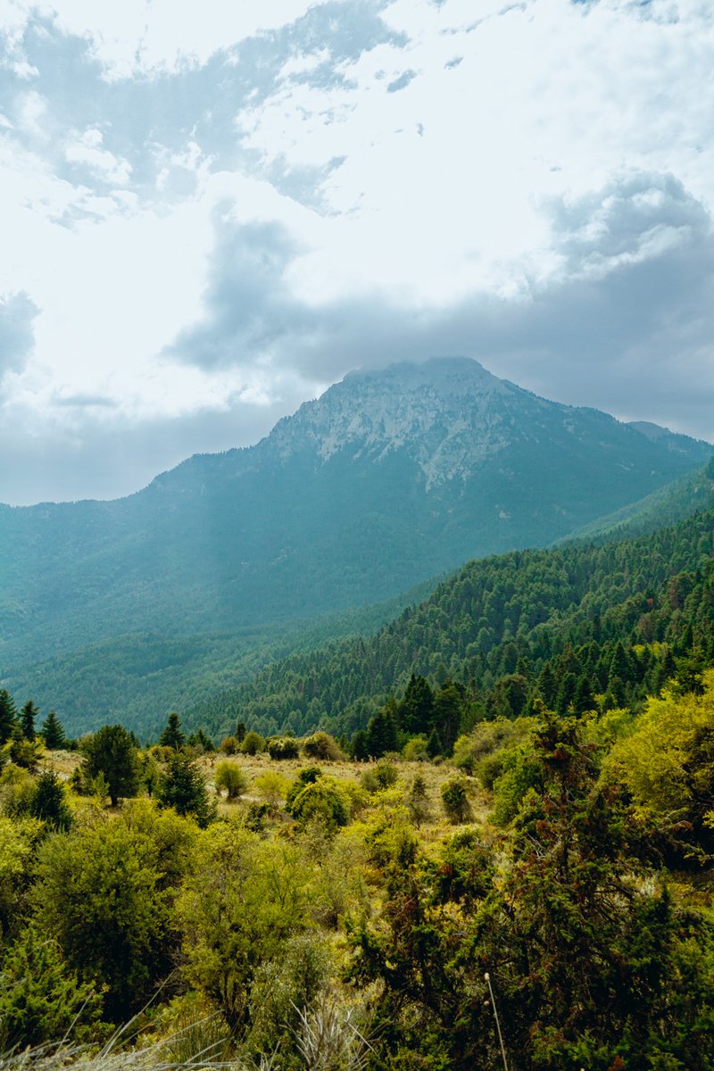 VasilisGouletas's tweet photo. ๐ฅพ ๐ท๐๏ธ ๐ท#photography #autumn #getaway #hiking #campling #ฮปฮฏฮผฮฝฮท_ฮดฯฮพฮฑ https://t.co/uxHNOwcUyg