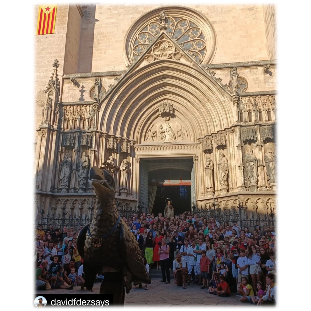 #Repost <a href="/davidfdezsays/">David Fernàndez</a>
Instants de la Festa Major 
#BallSolemnedelÀliga #BallSolemne #ÀligadeVilafranca #FMVila #FMVila23 #FestaMajor #FMVilafranca #LaMésTípica #LaMésDesitjada #ÀliguesdeCatalunya #Àliga #SantFèlix #Vilafranca #Penedès #Basílica #SantaMaria #BasílicadeSantaMaria