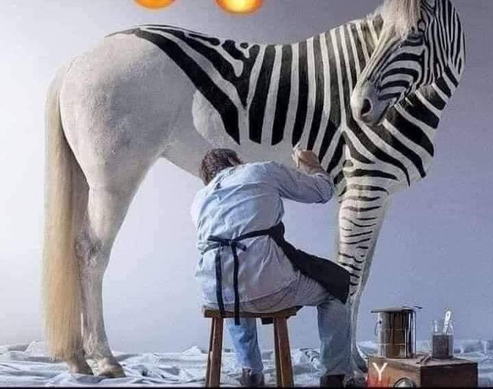 ChShahidPMLN's tweet image. 2017/2018 کے الیکشن میں کچھ اس طرح گھوڑے گدھے کو زیبرا بنا کر معصوم بچوں شہریوں کو سرعام دھوکا دیا گیا