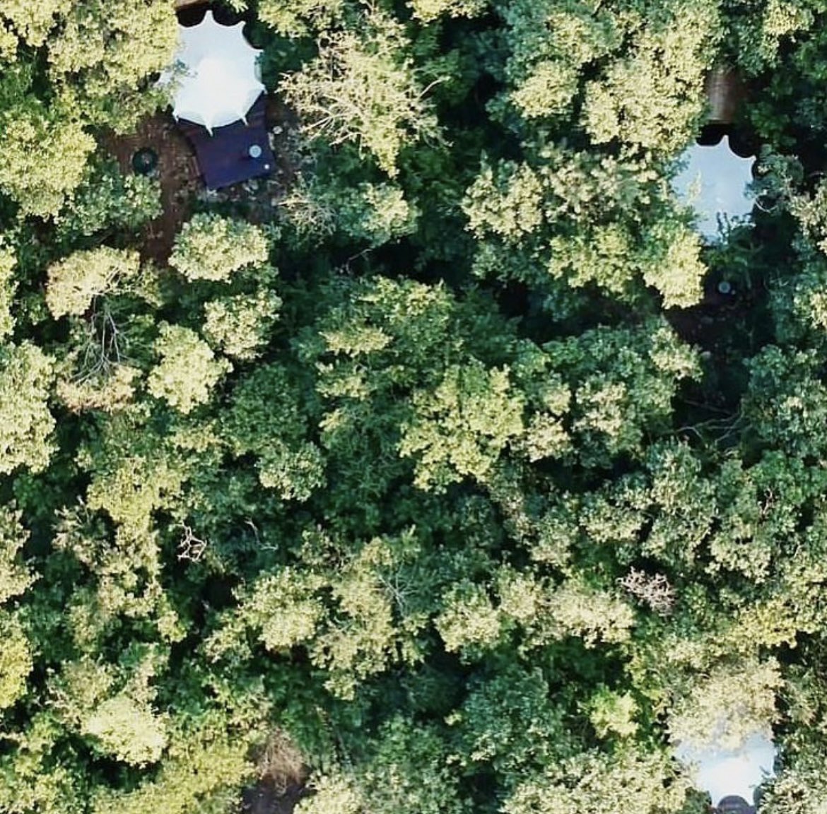 Belilula3's tweet photo. Súmate al cambio y viaja diferente, haz glamping. 

#Turismo #viajar #glamping #naturaleza #HuelladeCarbono #Travel #yucatan #fotografia #luxurylifestyle #conectando 

https://t.co/2BmR6rPD6y https://t.co/nm6HShn23Z