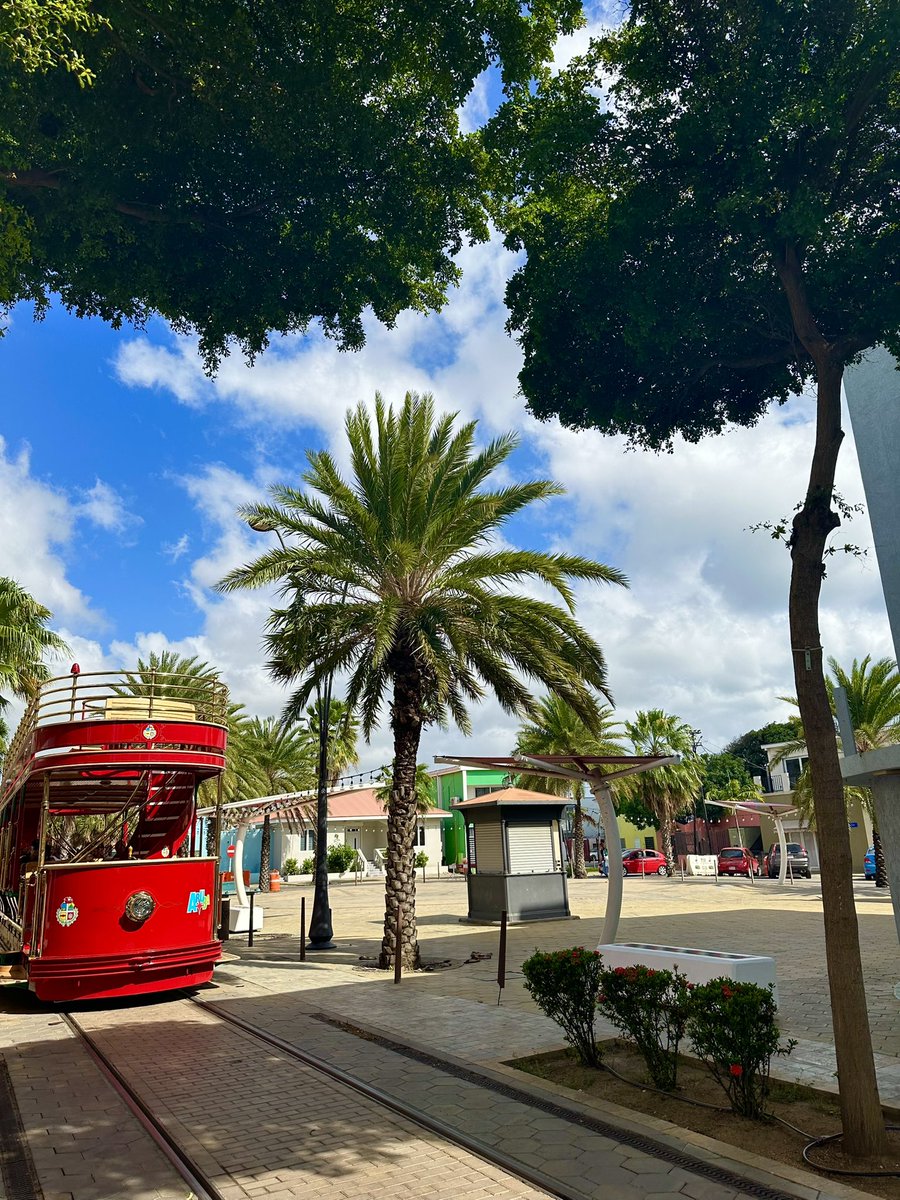 TimeraWilliams's tweet image. Doing what I love🫶🏽