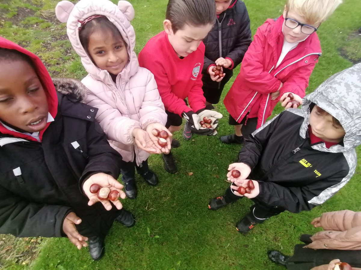 CP12022's tweet photo. Conker Hunt! Who loves a shiny new conker that has just come out of its shell. 🌳 https://t.co/uuWL4ETzz9