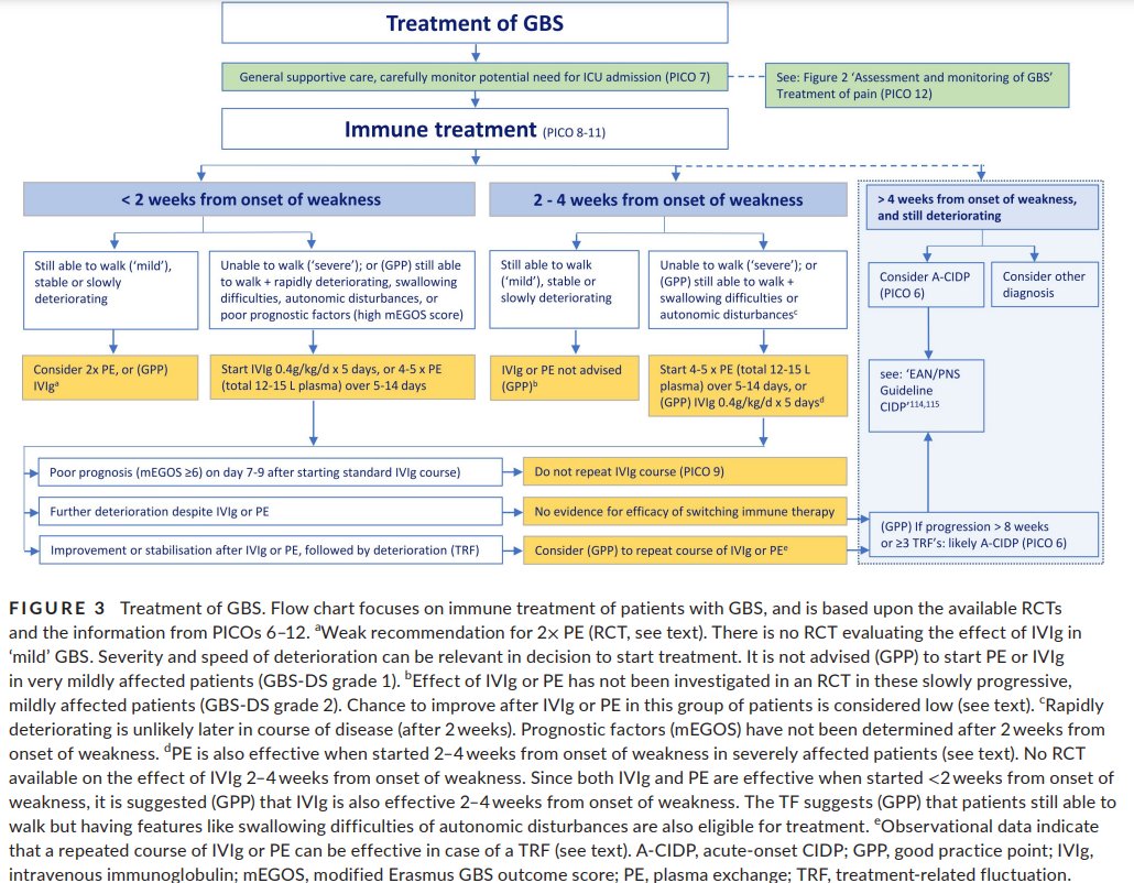 Neurologia H12O tweet media
