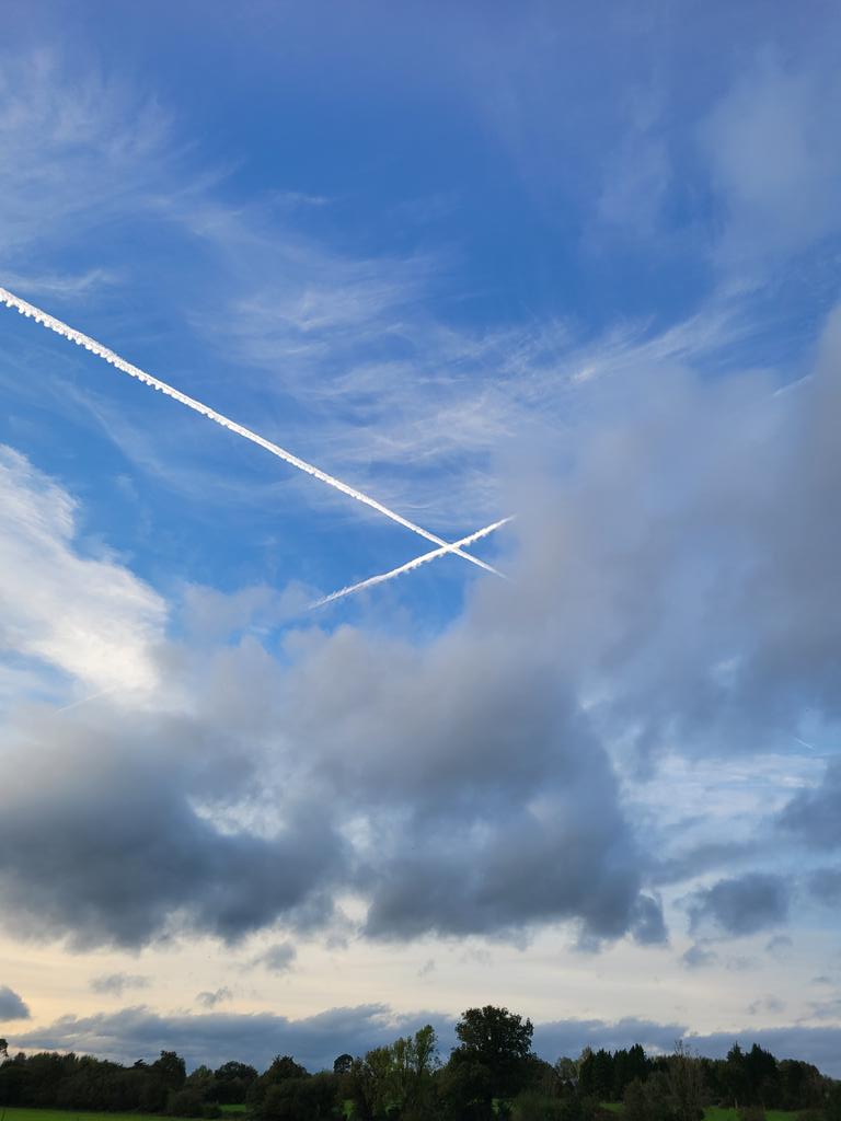 Geraldine Mcloughlin tweet media