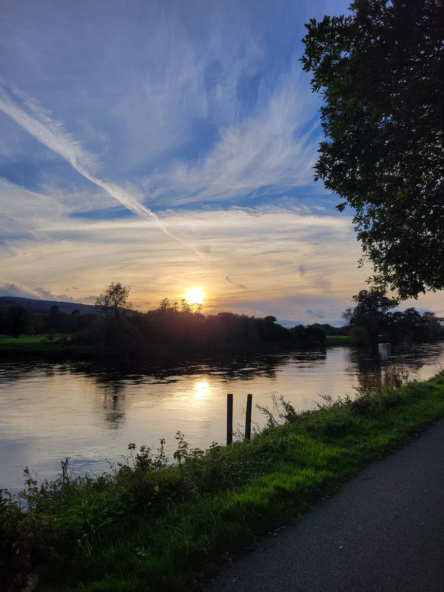 Geraldine Mcloughlin tweet media