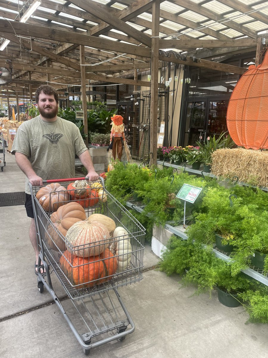 tori_viator's tweet image. This is what I live for 🧡