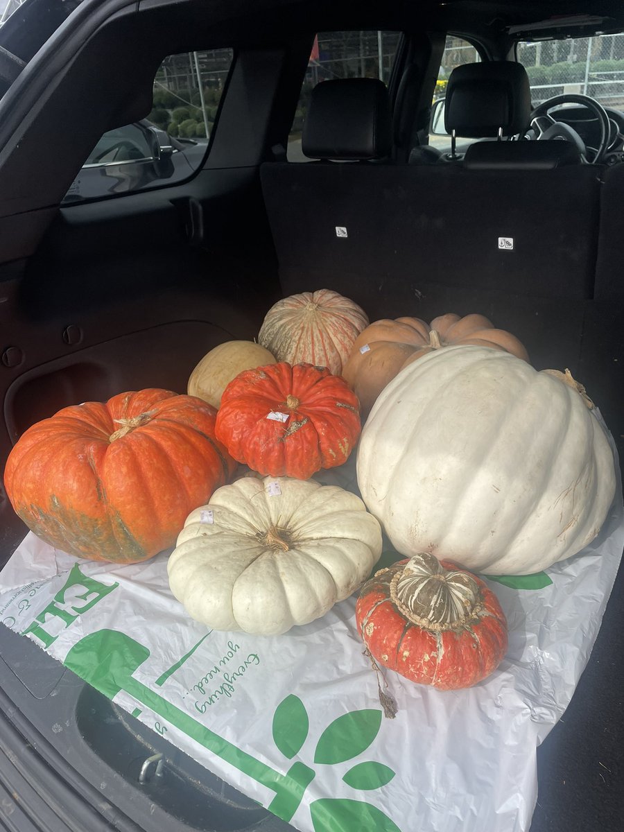 tori_viator's tweet image. This is what I live for 🧡