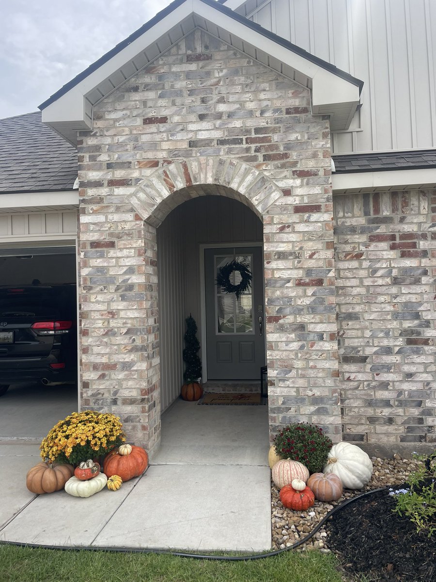 tori_viator's tweet image. This is what I live for 🧡