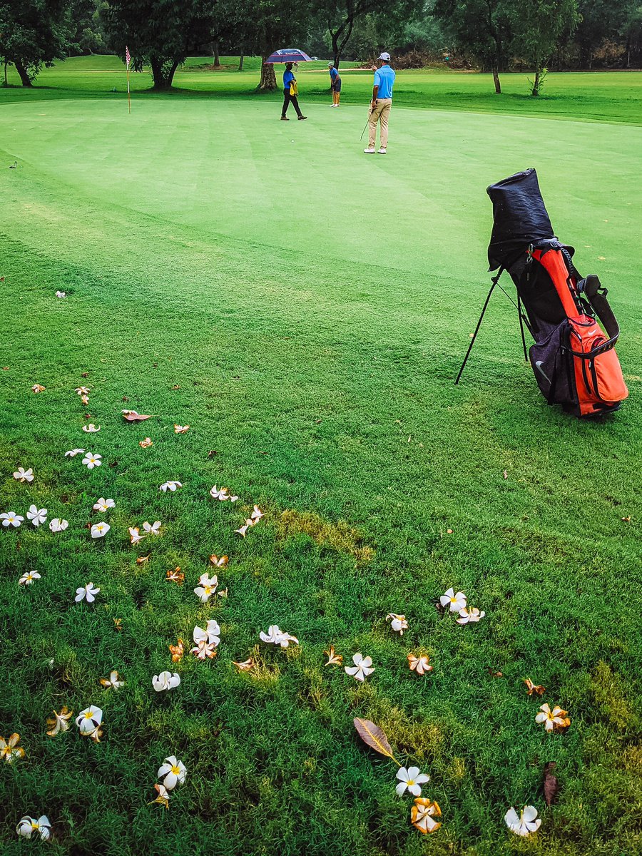 Patanjali Somayaji tweet media