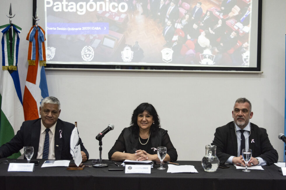 ppatagonicoAR's tweet photo. Este martes, en la ciudad Autónoma de Buenos Aires, se inauguró la Cuarta Sesión del año del #ParlamentoPatagónico, encabezada por la presidenta de Santa Cruz diputada Laura Hindie, el Vicepresidente diputado Carlos Santi y el Secretario diputado Leonardo Paradis. https://t.co/uEKgzcDjMn