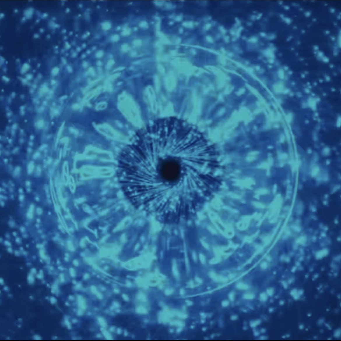 Mission Impodible tweet media