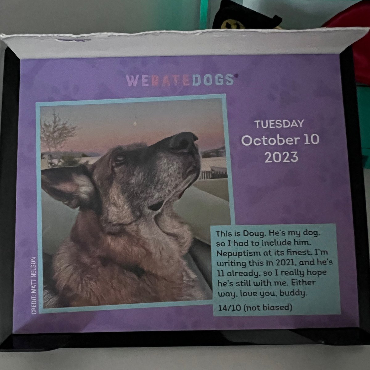 Stn_Ang's tweet image. Tell Doug I said hi 😊 @dog_rates #weratedogs