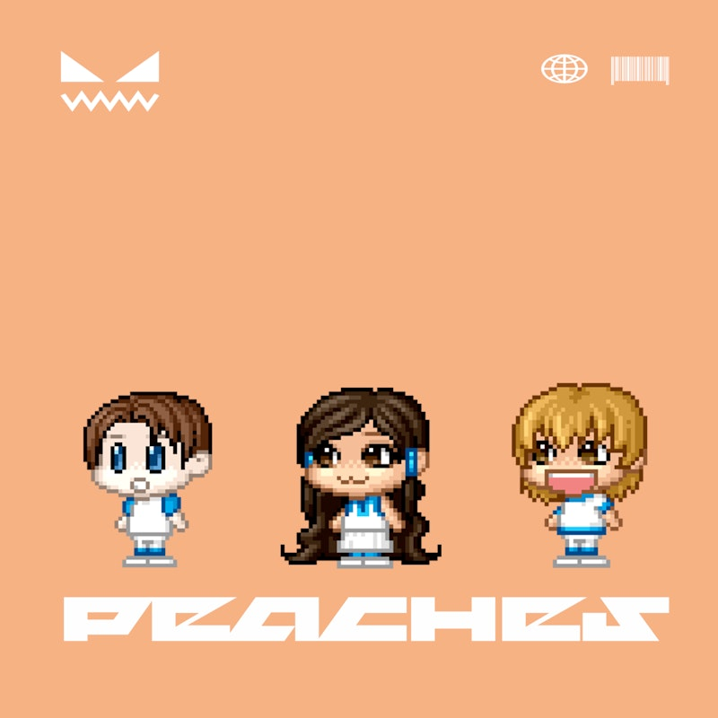 FLOWERS OF EVIL tweet media