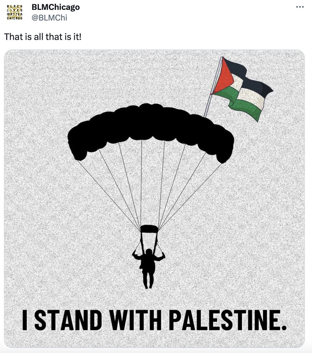 Julio_Rosas11's tweet image. The BLM chapter in Chicago just posted this in support of Hamas.