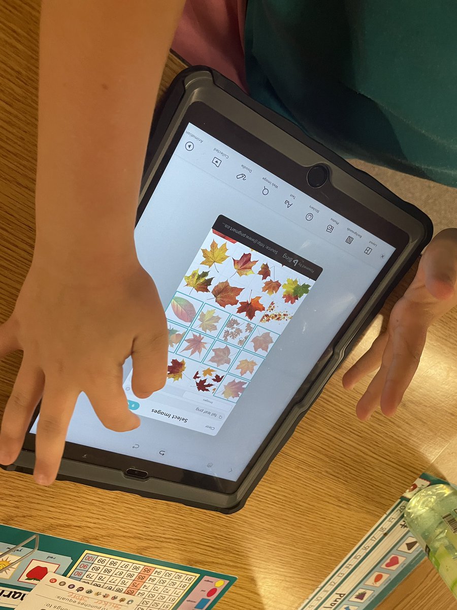 Traci Piltz 💛✨ tweet media