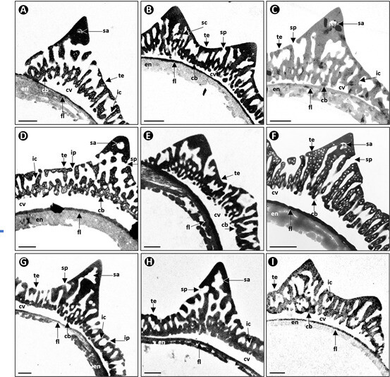 AsiaPaleofloras's tweet photo. #Palynotaxonomy of the subtribe #Anisopappinae (#Athroismeae, #Asteraceae) and the #genus #Duhaldea (Inuleae, #Asteraceae) based on their #exine #ultrastructure
https://t.co/tqtRBd4Inx https://t.co/ysj23b6oCl