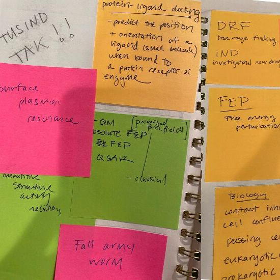 Kori Rahaim tweet media