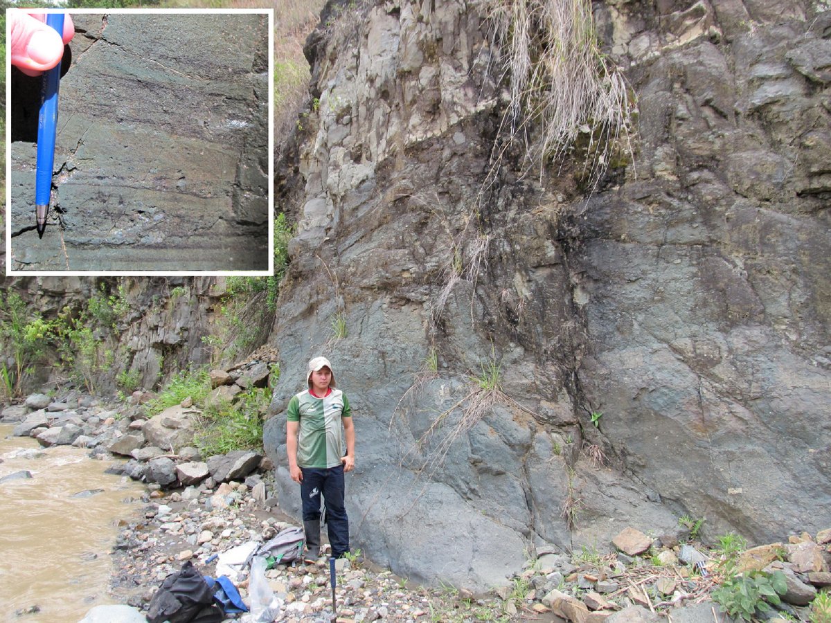 David Buchs tweet media