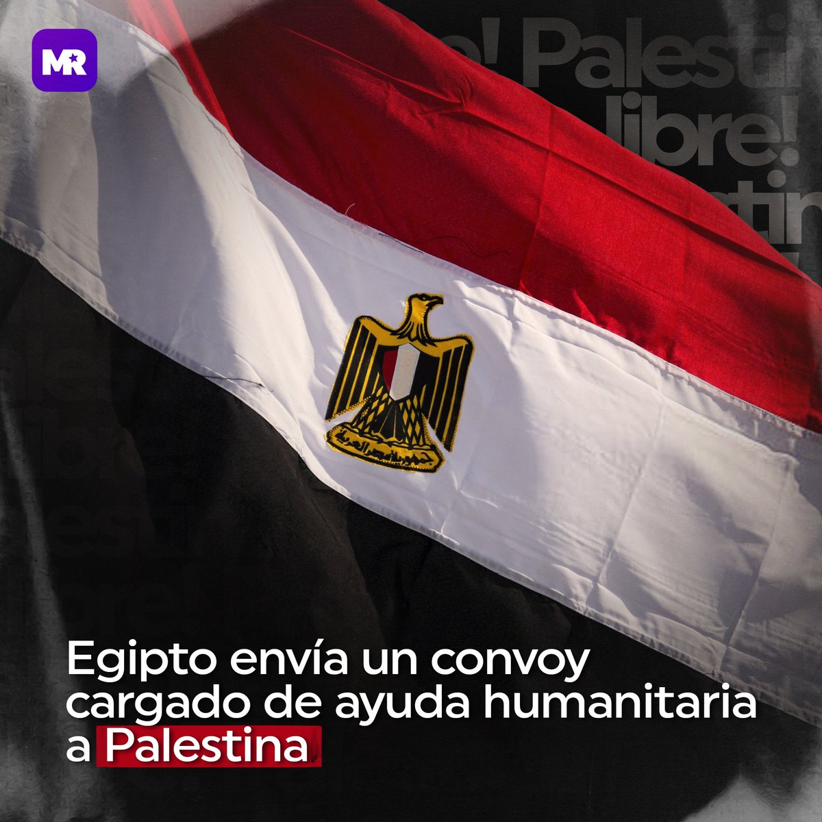 RManifiesto's tweet photo. #Internacional | 🇪🇬🤝🏻🇵🇸 El presidente Abdel Fattah El-Sisi ordena el envío de un convoy completo cargado con enormes cantidades de ayuda humanitaria a los palestinos.

#PalestinaLibre
#Gaza
#PalestineWar
#ManifiestoRevolucionario https://t.co/nBQXolAuRG