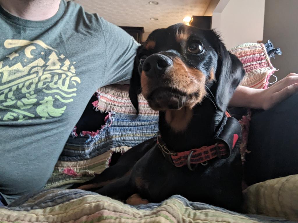 FederalGhosts's tweet photo. Tuxedo's third birthday is 1 week from today. I'll play clips from his puppy days on stream. He'll make love appearances. All revenue on the federalghosts channel from OCT 17 will go towards stuff for Tux. Mind you, he's not without food, shelter, and toys. He's just spoiled. https://t.co/19xVANlNNe