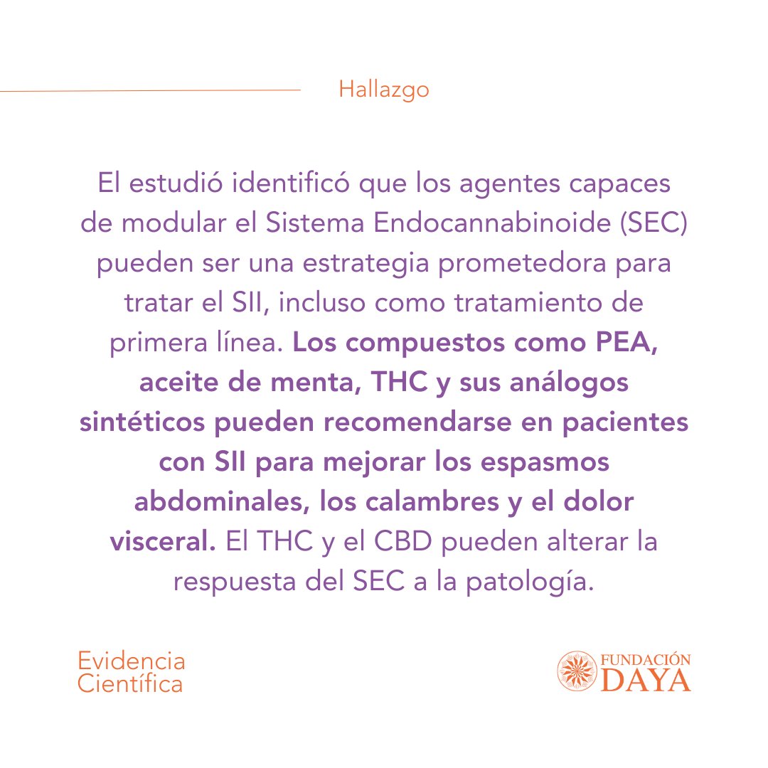 FundacionDaya's tweet photo. #evidenciacientífica sobre cómo la modulación del Sistema Endocannabinoide en su interacción con el cannabis de uso medicinal puede ayudar a mejorar la calidad de vida de personas con enfermedades crónicas como el Síndrome de Intestino Irritable. https://t.co/H3Z4UxXxDu