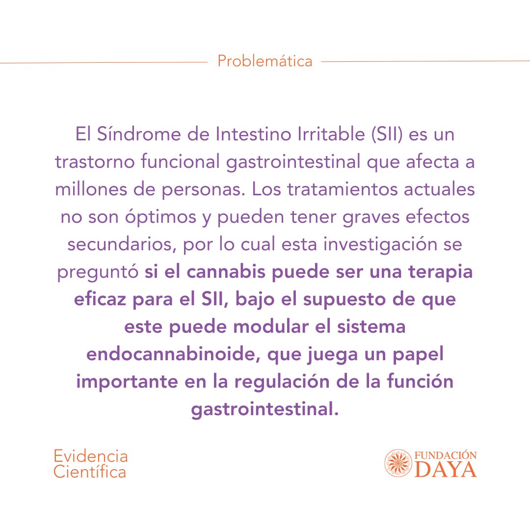 FundacionDaya's tweet photo. #evidenciacientífica sobre cómo la modulación del Sistema Endocannabinoide en su interacción con el cannabis de uso medicinal puede ayudar a mejorar la calidad de vida de personas con enfermedades crónicas como el Síndrome de Intestino Irritable. https://t.co/H3Z4UxXxDu