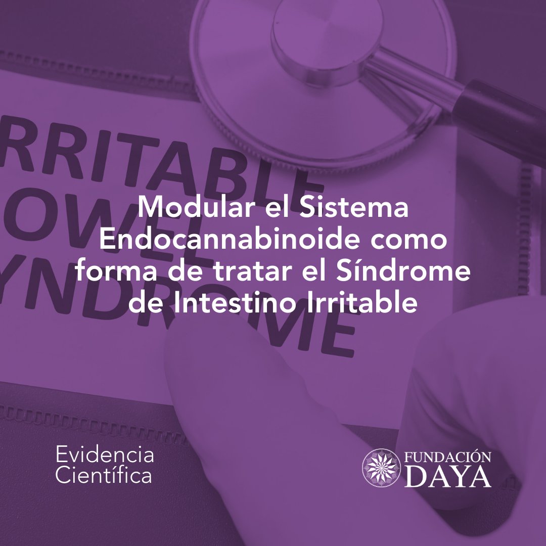 FundacionDaya's tweet photo. #evidenciacientífica sobre cómo la modulación del Sistema Endocannabinoide en su interacción con el cannabis de uso medicinal puede ayudar a mejorar la calidad de vida de personas con enfermedades crónicas como el Síndrome de Intestino Irritable. https://t.co/H3Z4UxXxDu